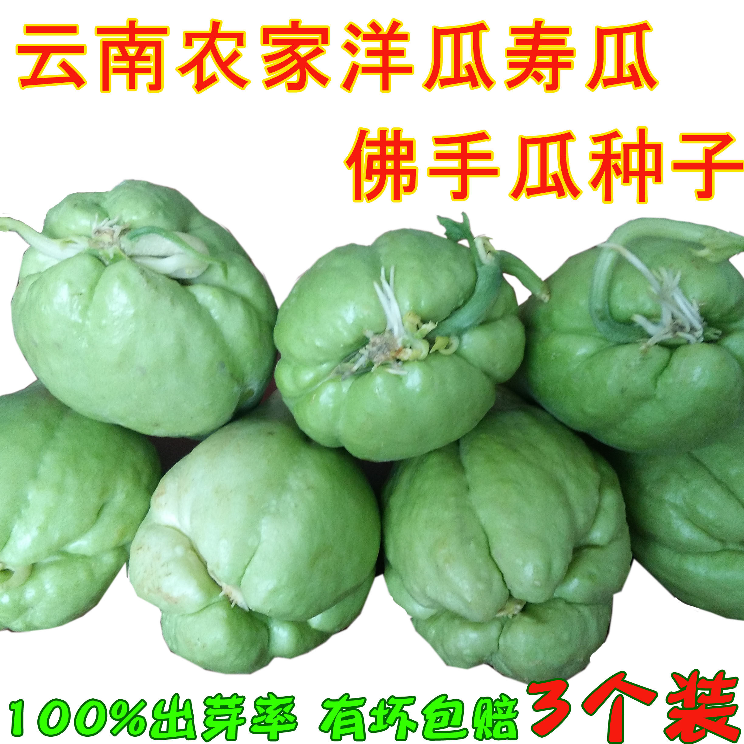 农家新鲜蔬菜佛手瓜窝瓜龙须菜