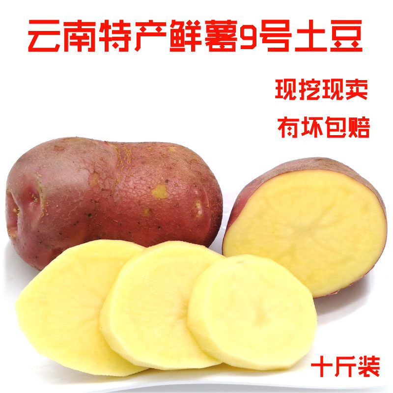 云南红土豆高原新鲜土豆产地直销红皮黄心土豆新鲜 10斤 大号包邮