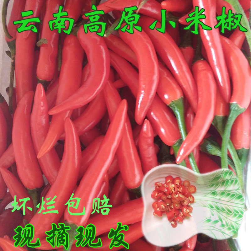 云南新鲜红辣椒现摘蔬菜