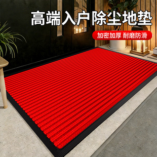 高档别墅入户门地垫豪宅玄关大门口除尘蹭土脚垫家用耐脏防滑地毯
