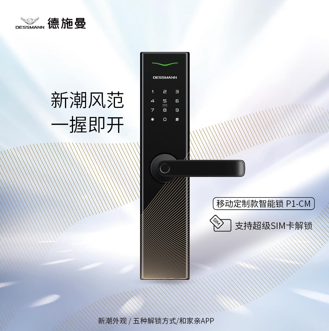 德施曼智能锁指纹锁密码锁