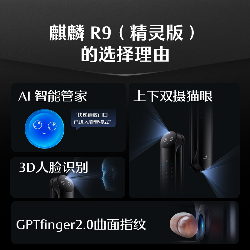 德施曼人脸识别智能锁R9精灵版