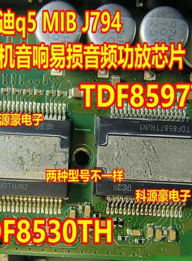 TDF8597TH/N1 TDF8530TH/N2 新款奥迪Q5 J794主机功放音响芯片