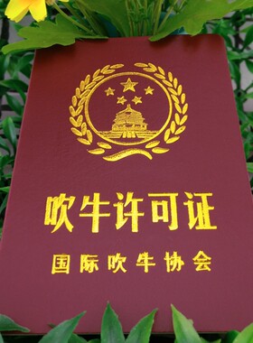 吹牛许可证搞笑证书整蛊玩具