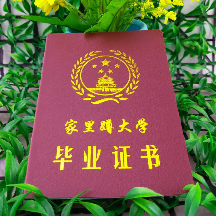 家里蹲大学毕业证书老公老婆闺蜜