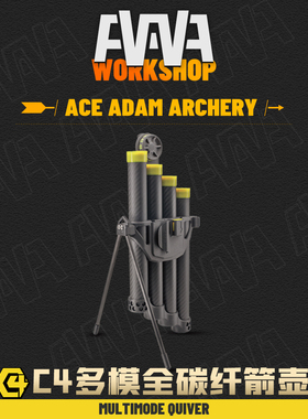博宁精选AAAW C4碳纤维多模箭壶 15日内发货