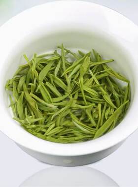 古丈毛尖今日下单即送精品试饮