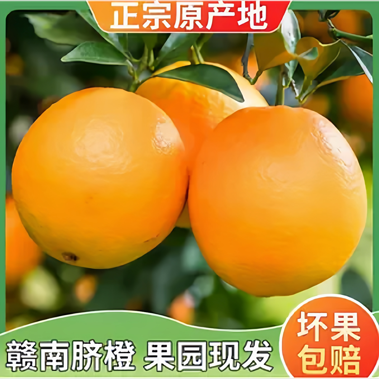 正宗赣南脐橙10斤大果孕新鲜当其它