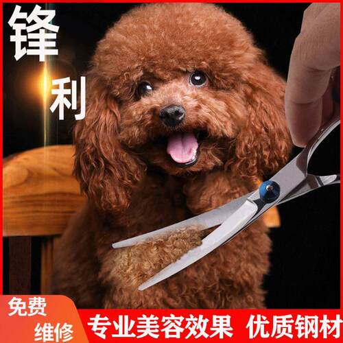 谷崎宠物专用剪刀美容剪套装