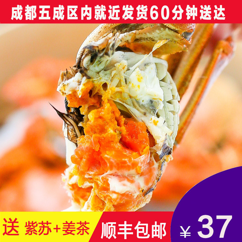 苏州原产地鲜活大闸蟹顺丰包邮