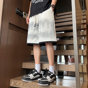 美式短裤男2024夏季新款大码百搭潮五分裤 A107-DK5042-特P30图片