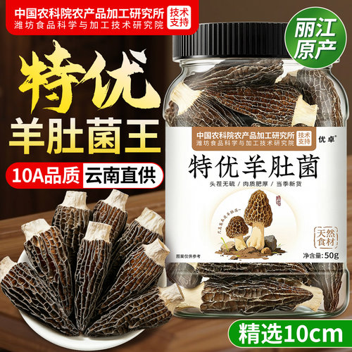 中国农科院10A品质】丽江羊肚菌