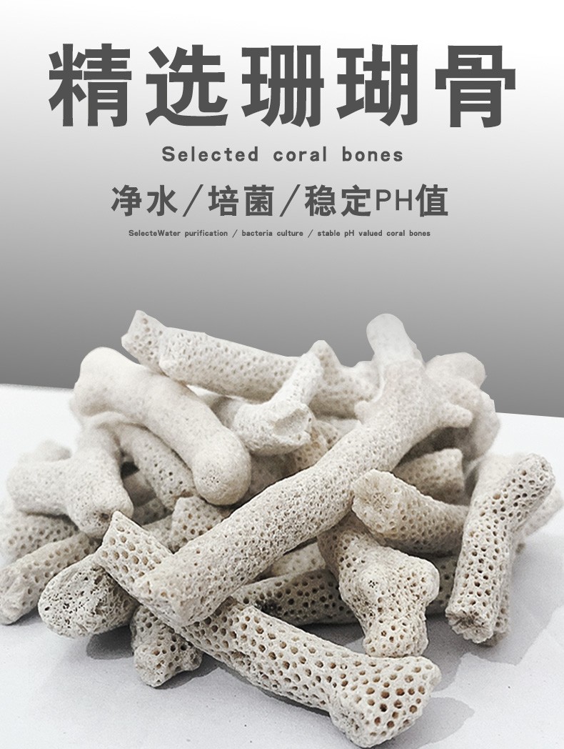 珊瑚骨鱼缸过滤材料净化水质