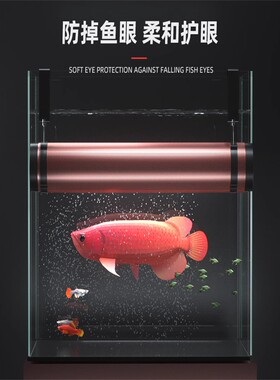 仟鱼原子光盒灯盘龙鱼灯专用发色灯管鱼缸灯红金龙全光谱烤色侧灯