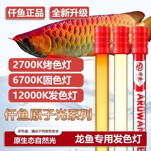 龙鱼发色灯烤色诱色灯T5水中灯