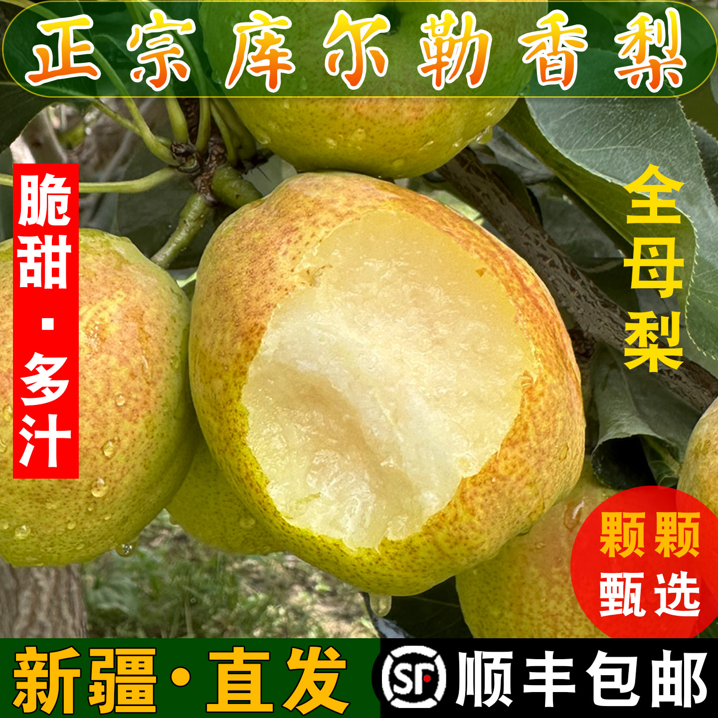 正宗新疆库尔勒香梨酥脆甜特级果