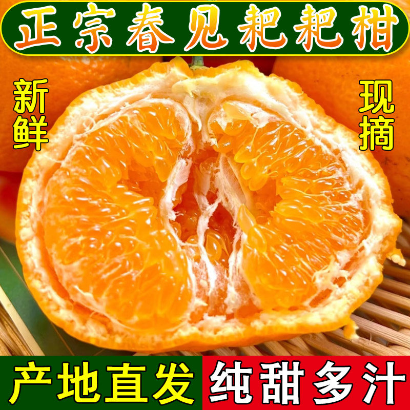 正宗四川春见耙耙柑新鲜水果官方旗舰店现摘现发整箱丑桔产地直发,水产肉类/新鲜蔬果/熟食,桔子,淘宝优惠券,粉丝福利购,淘宝优惠卷