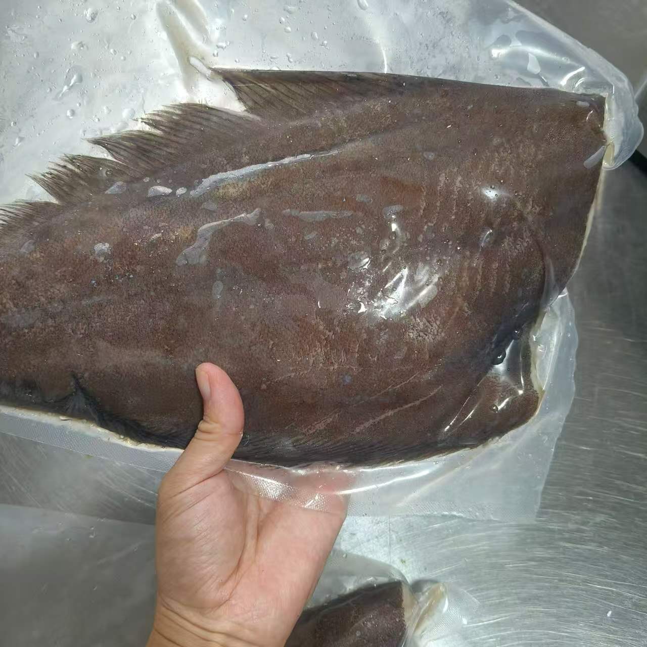 深海野生格陵兰比目鱼鲽鱼身船冻白肉鲜嫩新鲜冷冻原料非鸦片鱼