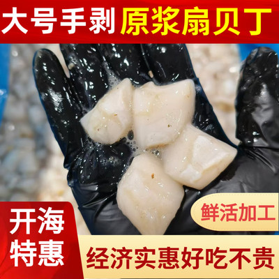 大连原浆扇贝丁港湾贝柱3.2斤