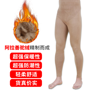 打底羊绒裤 薄款 男女高腰加绒单层驼绒棉裤 保暖裤 针织弹性紧身修身