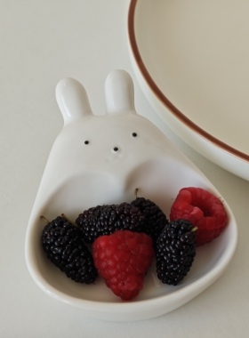 诺裔家 日式器 可爱小白兔蘸料碟家用调味碟醋碟番茄酱碟油醋汁碟