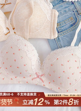 温柔奶芋~甜美法式内衣小胸聚拢收副乳反重力无钢圈文胸性感纯欲