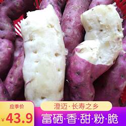 新鲜农家自种现挖海南澄迈有机红薯粉山口板栗富硒三角宁地瓜番薯