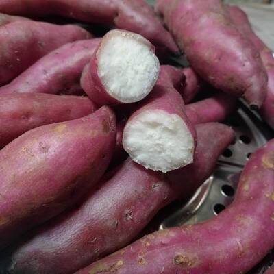 海南澄迈三角宁粉香甜白心小番薯