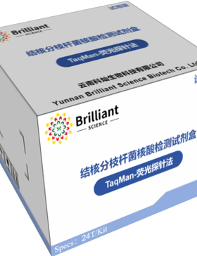 结核分枝杆菌核酸检测试剂盒