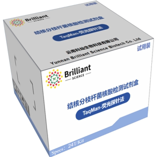 结核分枝杆菌核酸检测试剂盒