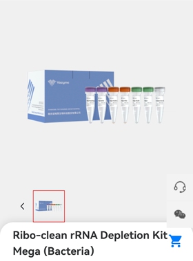 Ribo-clean rRNA Depletion Kit Mega (Bacteria）