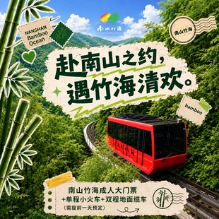 【南山竹海大门票+单程小火车+双程熊猫地轨(预订券)丨成人票】