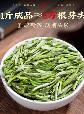 水西翠柏正宗江苏溧阳市前马乡特产2026新春嫩芽绿茶叶特级特等奖