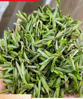 惠明茶 正宗浙江丽水景宁特产2026新春嫩芽绿茶叶贡茶金奖特级茶