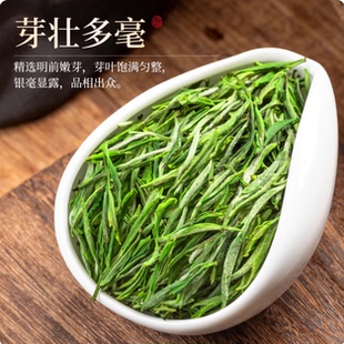 乐昌白毛茶白毛尖正宗广东乐昌沿溪山2026新春嫩芽有机绿茶叶金奖