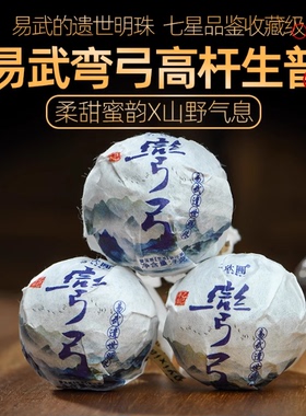 七星品鉴级云南易武弯弓丁家寨瑶族头春高杆古树纯料普洱生茶龙珠