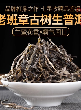 2026年头春云南勐海布朗山老班章300年古树纯料普洱茶生茶散茶叶