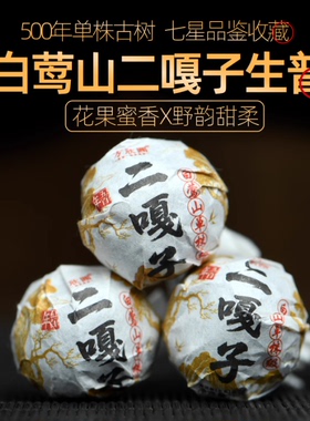 500年单株级云南临沧云县头春白莺山二嘎子古树纯料普洱生茶龙珠