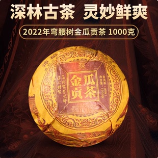 2022年春茶弯腰树普洱茶生茶古树茶金瓜贡茶沱茶1000克西双版纳