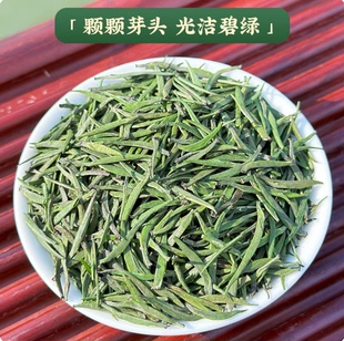 齐山翠眉 正宗安徽六安金寨县齐云山特产2025新春嫩芽绿茶叶特级