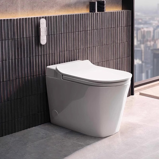 科勒智能马桶一体智能坐便器ST30LE卫生间家用轻智能座便器38018T