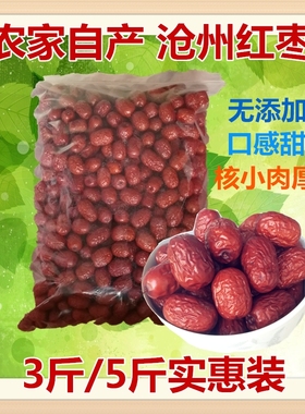 新枣沧州金丝红枣干小枣2500g自产零食泡茶煲汤散装包邮