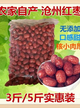 金丝沧州新枣包邮沧州红枣