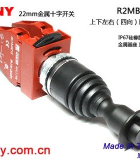 台湾雷力RENY原装进口十字开关双向自复自锁附安全锁R2MBTF定制款