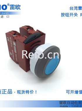 台湾雷力原装进口 30mm 按钮开关 平头按钮 R3PNF 1常开