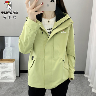 啄木鸟户外冲锋衣女三合一可拆卸防风防水运动登山服夹克风衣外套