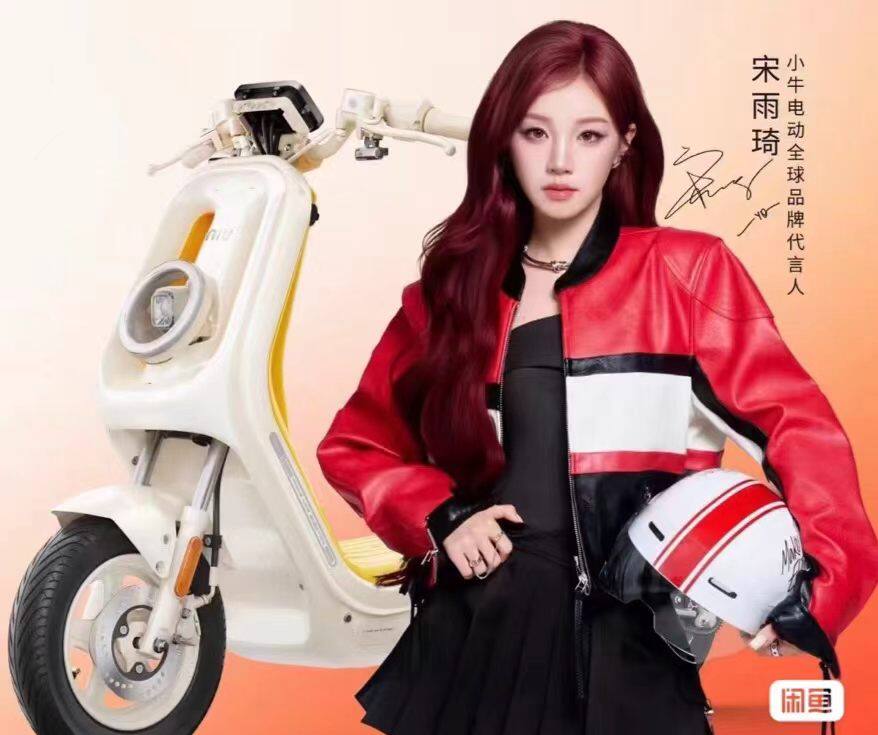 【宋雨琦推荐】小牛电动 K Citi 锂电智能电瓶车