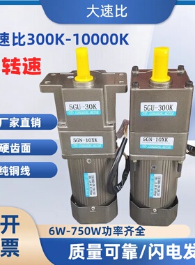 大速比低转速慢速15w25w40W120W90W300W调速电机马达300K1000K