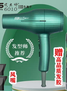 风大师6010负离子吹风机发型师造型专用款大功率轻巧高热超强风