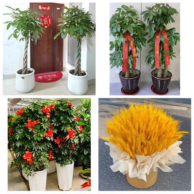 烟台市蓬莱招远栖霞市海阳市同城鲜花店新店开业花篮公司乔迁开张